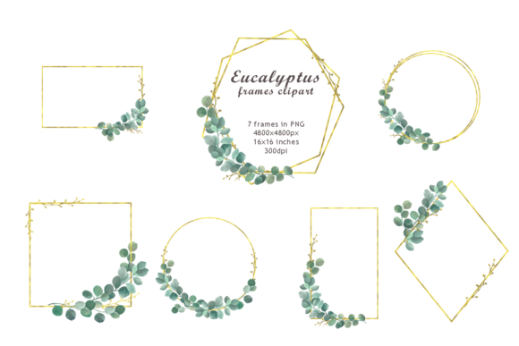 Watercolor Eucalyptus Frames Clipart
