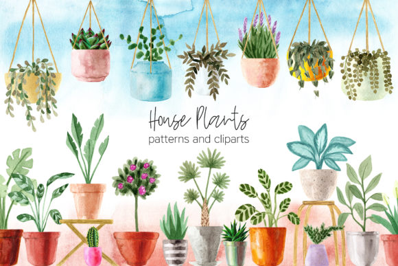 Watercolor House Plants. Cliparts for Creative Workflows